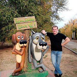 �����, ���������, 40 ���