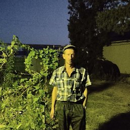 ������, ���������, 46 ���