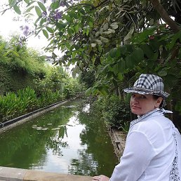 ����, �����-���������, 47 ���