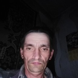 , 40, 