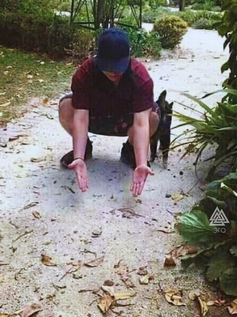   ,     : - 3