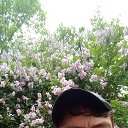 ���� �������, ���������, 31 ��� - ��������� 27 ����� 2025 � ������ ���� ����������