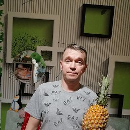 ����, 49 ���, ����