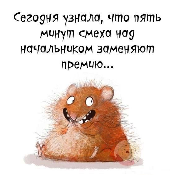ОБО ВСЕМ - 23 июля 2025 в 09:02