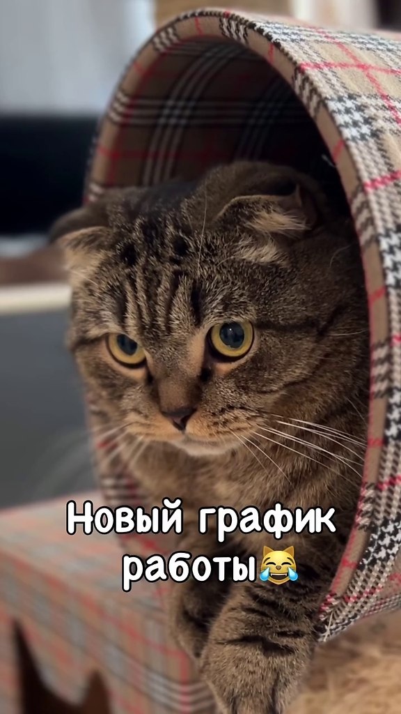 ����� ����� ������� �������� ����!)