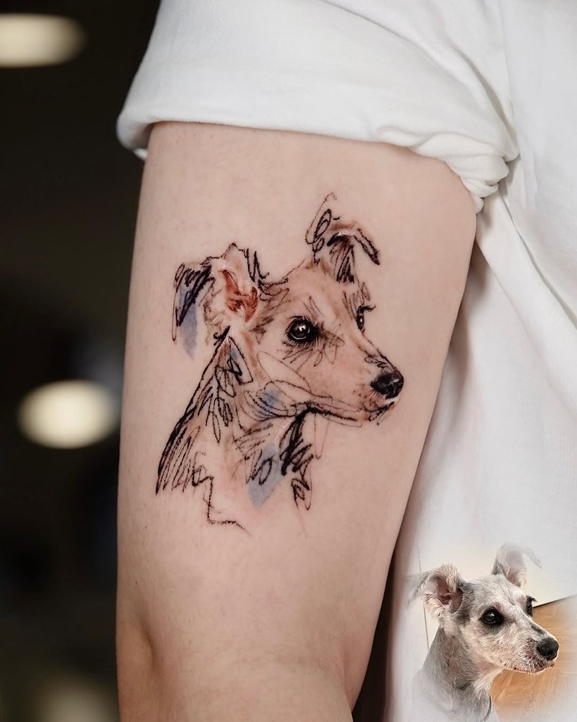 ���� ���������� �����, ����� ����������� ������� ��������� ������ � �������� ������� � ������� ... - 2