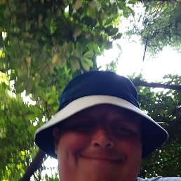 ����, ������, 41 ���