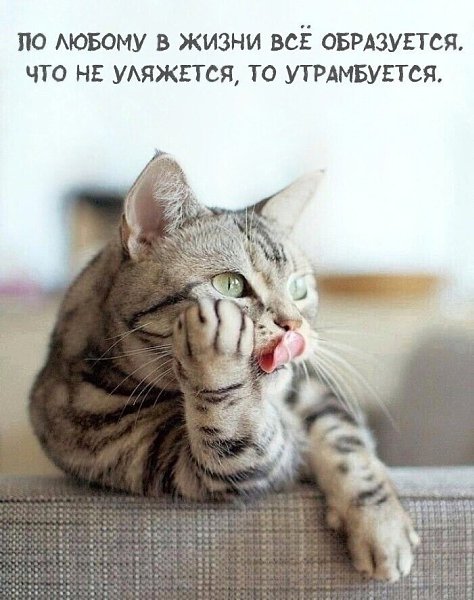 �������� - 16 ������� 2025 � 10:26