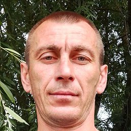 �����, �����-���������, 40 ���