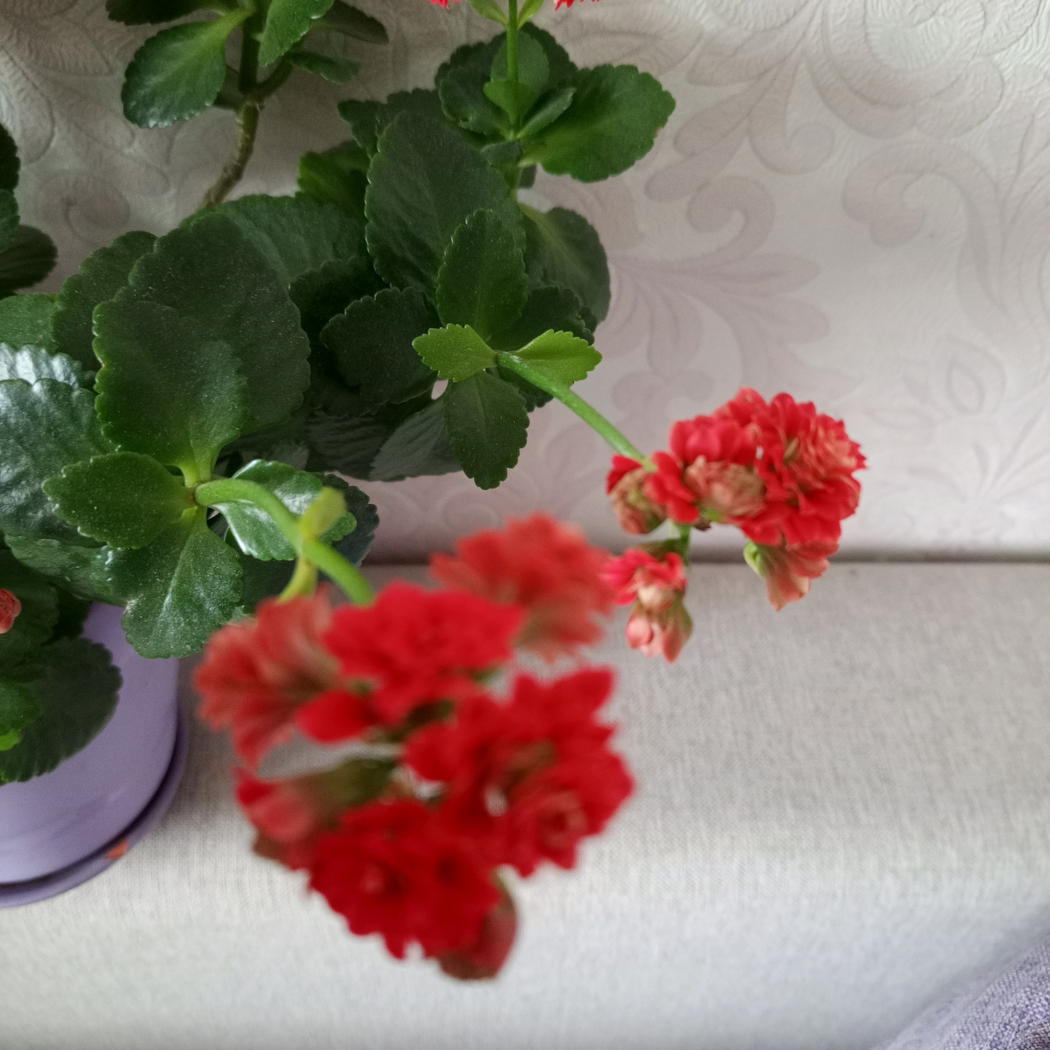 ������ - 5 ����� 2026 � 20:03