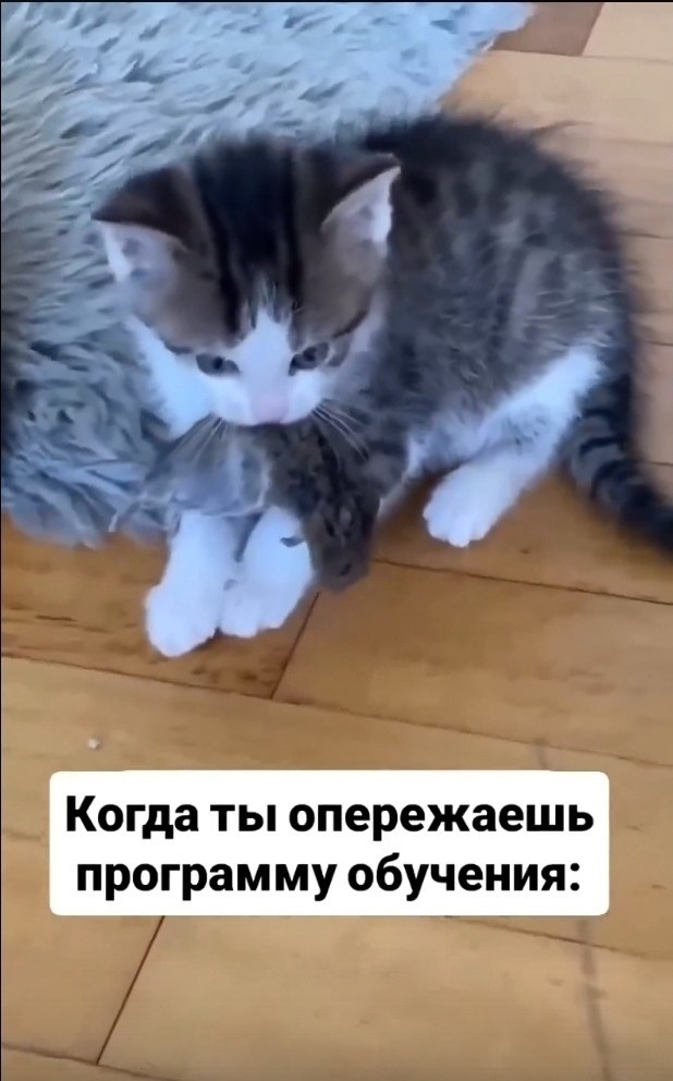 � ������� �� 9 ����� ����������) - 2