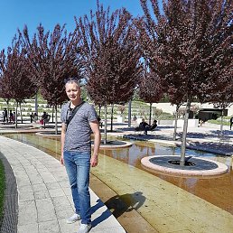 ������, ������-��-����, 55 ���