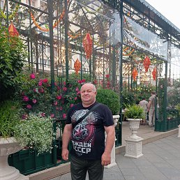 ����� ��������, 55 ���, ������