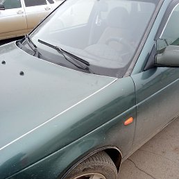 Ajik, ������, 43 ����