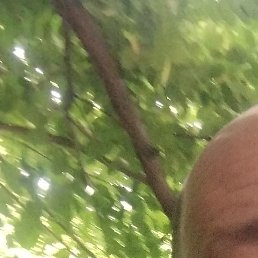 Dre, �����-���������, 32 ����
