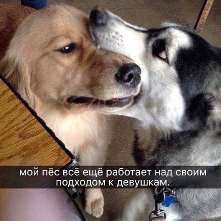 ������ ������� ���������� �����