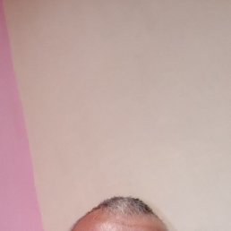 , 42, 