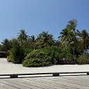 �������� �� ������� ���� ���� ������