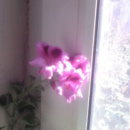 ������, ������, 57 ���