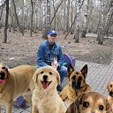 ���� �����, �����������, 66 ��� - ��������� 2 ������ 2025