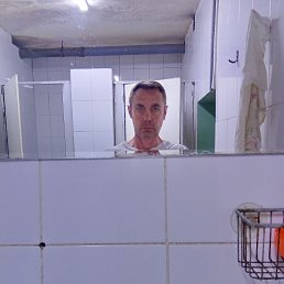 , 53 , 