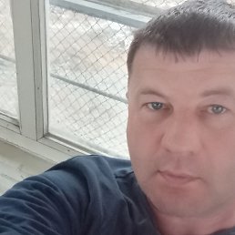 �����, 43 ����, �����������