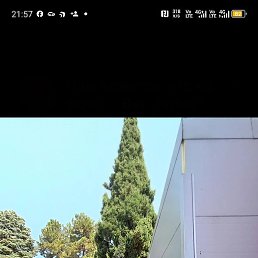 ������, �����������, 48 ���