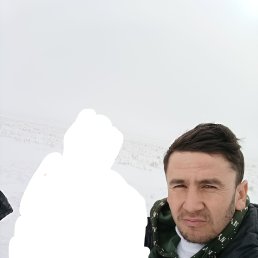 , 29, 