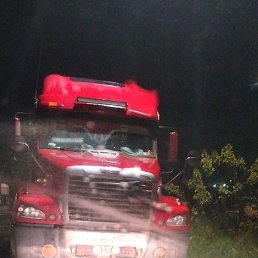 ����, ��������, 37 ���