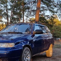 ���, �����, 43 ����