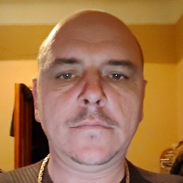 ������, ������, 41 ���