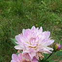 ���� ������, �����-���������, 62 ���� - ��������� 24 �������� 2025 � ������ �������