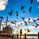 ���� Eynar, ����, 51 ��� - ��������� 10 ������� 2025