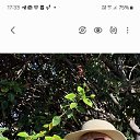 ���� �������, ���������, 67 ��� - ��������� 28 ������� 2025 � ������ ���� ����������