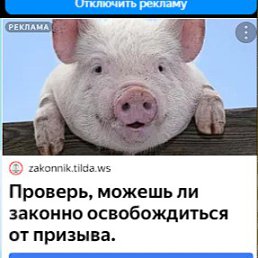 ���� ������, ������, 21 ��� - ��������� 16 ������ 2023