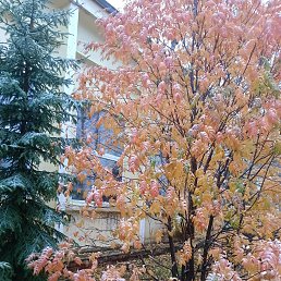  ,  , 63  -  21  2025