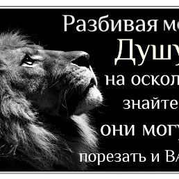 ����, ������, 51 ���