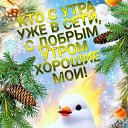 ���� ���������, �����������, 56 ��� - ��������� 29 ������ 2024 � ������ ���� ����������
