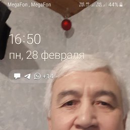 ���� �����, ������, 64 ���� - ��������� 11 ������ 2024