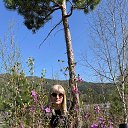 ���� ������!, �����������, 52 ���� - ��������� 5 ������ 2026 � ������ �2025�