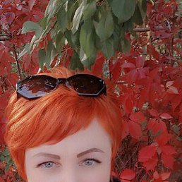 ���� ����, ���������, 48 ��� - ��������� 13 ������ 2026