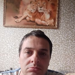 , 45, 
