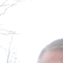 ���������, ����, 43 ����