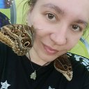 ���� ������, ������ - ��������� 2 ���� 2024 � ������ ���� ����������