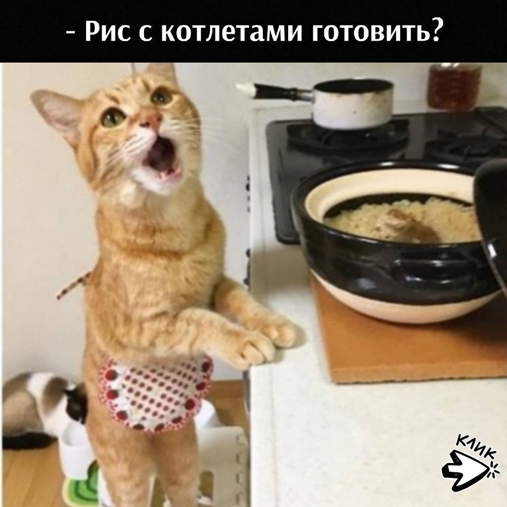 ��� ���� � ����� �� �� - 17 ����� 2026 � 17:00