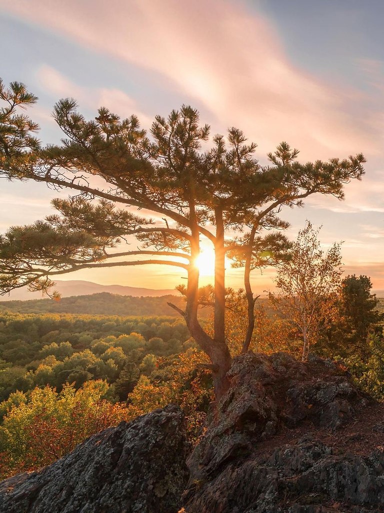 op pee ep.aapoc pa oo: e eo - 5