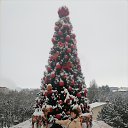 ���� �����, �������, 59 ��� - ��������� 20 ������ 2026 � ������ ���� ����������