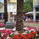 ���� ���������, ������, 67 ��� - ��������� 22 ������ 2026 � ������ ������ 2024�