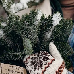 ���� ����, �����-��������� - ��������� 3 ������ 2026