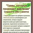 ���� Serb, ��������� - ��������� 16 ������ 2024 � ������ ������ ��������